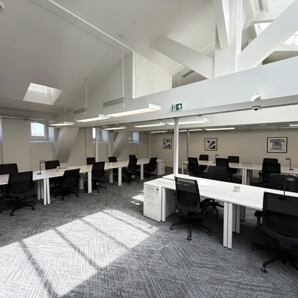 Bureau privé 222 m² 42 postes Location bureau Rue Charles de Rémusat Toulouse 31000 - photo 8