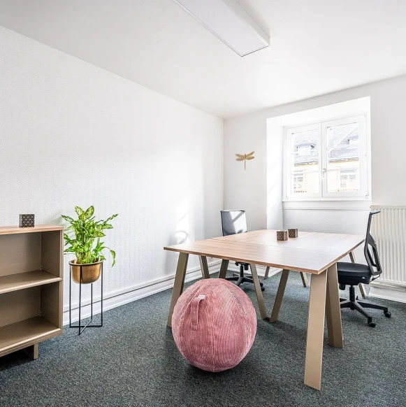 Bureau privé 15 m² 3 postes Coworking Rue Harelle Metz 57000 - photo 1