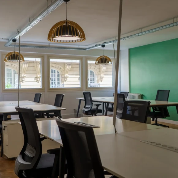 Espace indépendant 275 m² 40 postes Location bureau Rue du Delta Paris 75009 - photo 8