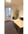 Bureau privé - 67000 - 2 postes - 790€