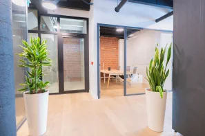 Open Space - 59800 - 40 postes - 250€