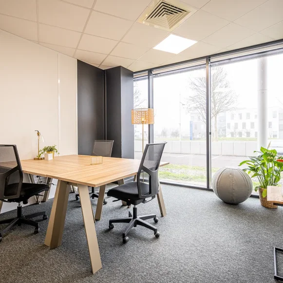 Bureau privé 15 m² 2 postes Location bureau Rue de la Haye Schiltigheim 67300 - photo 1
