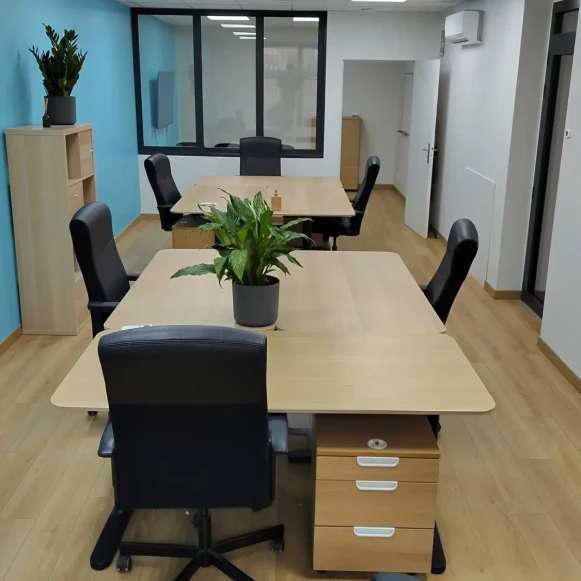 Bureau privé 50 m² 6 postes Location bureau Route de Vienne Lyon 69007 - photo 7