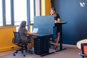 Open Space - 59000 - 35 postes - 219€