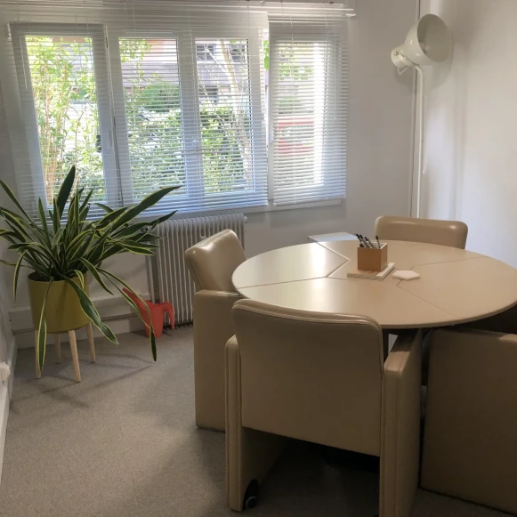 Espace indépendant 52 m² 6 postes Location bureau Rue Sully Lyon 69006 - photo 3