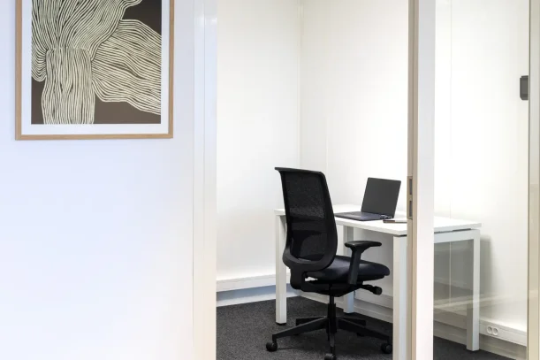 Bureau privé - 69125 - 1 poste - 311€