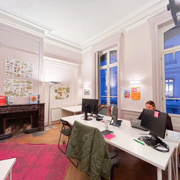 Espace indépendant 108 m² 8 postes Location bureau Place Bellecour Lyon 69002 - photo 5