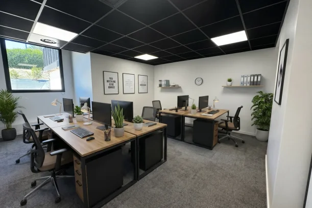 Bureau privé - 69800 - 6 postes - 600€