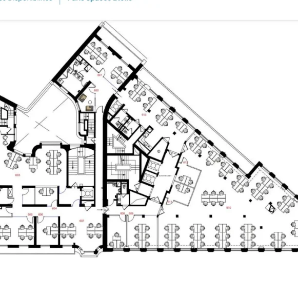 Espace indépendant 534 m² 150 postes Location bureau Avenue Hoche Paris 75008 - photo 4