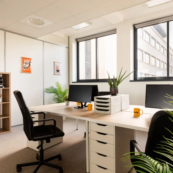 Bureau privé 24 m² 4 postes Coworking Avenue Paul Kruger Villeurbanne 69100 - photo 1