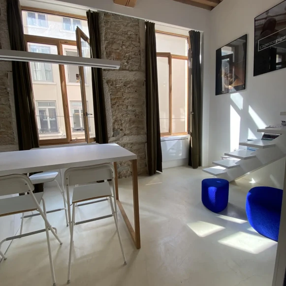 Espace indépendant 48 m² 4 postes Location bureau Rue Imbert-Colomès Lyon 69001 - photo 2