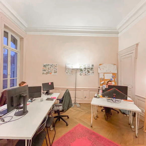 Espace indépendant 108 m² 8 postes Location bureau Place Bellecour Lyon 69002 - photo 6
