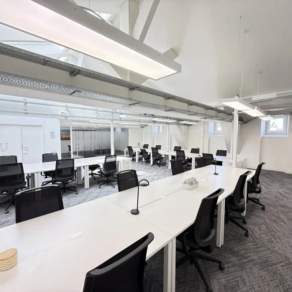 Bureau privé 222 m² 42 postes Location bureau Rue Charles de Rémusat Toulouse 31000 - photo 7