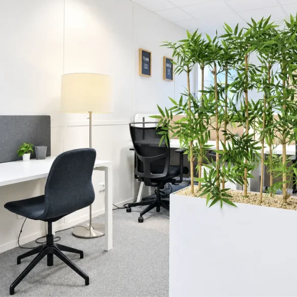 Open Space  12 postes Coworking Rue René Viviani Nantes 44200 - photo 1