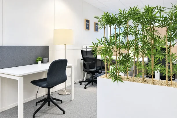 Open Space - 44200 - 12 postes - 150€