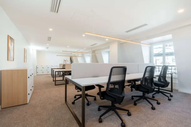 Espace indépendant - 75009 - 38 postes - 28500€