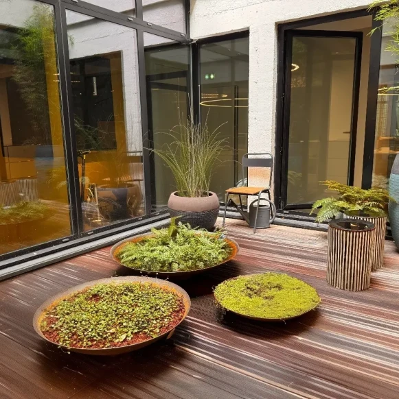 Open Space  10 postes Location bureau Rue des Cloys Paris 75018 - photo 1