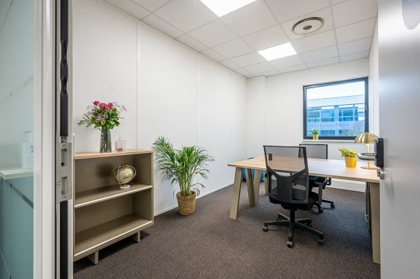 Bureau privé - 67960 - 2 postes - 850€