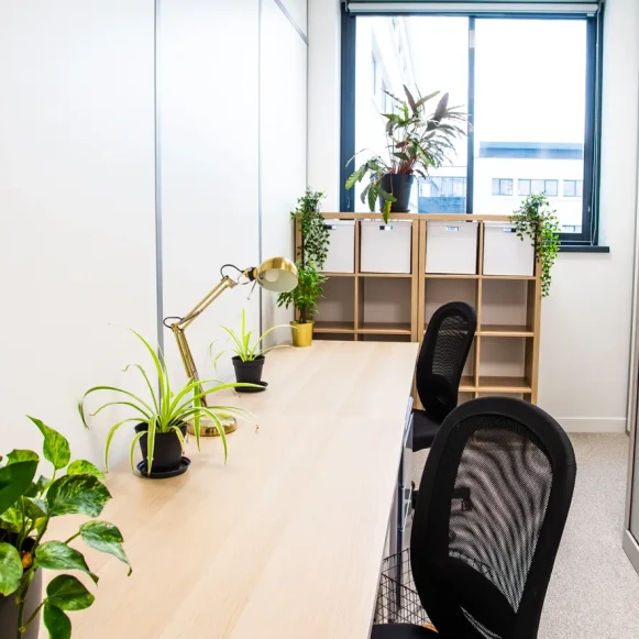 Bureau privé 12 m² 2 postes Coworking Avenue Paul Kruger Villeurbanne 69100 - photo 3