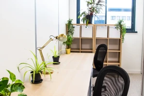 Bureau privé - 69100 - 2 postes - 700€