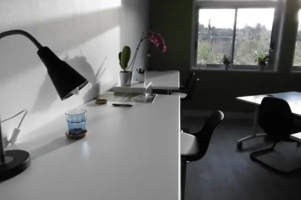 Open Space - 69009 - 10 postes - 230€