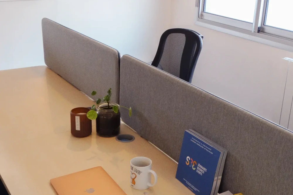 Open Space - 69009 - 2 postes - 200€