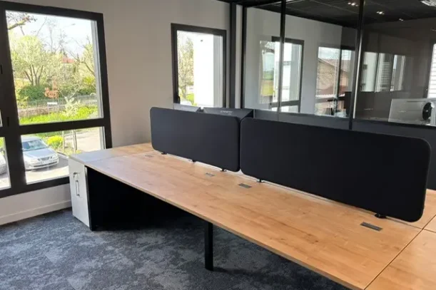 Open Space - 69200 - 4 postes - 250€