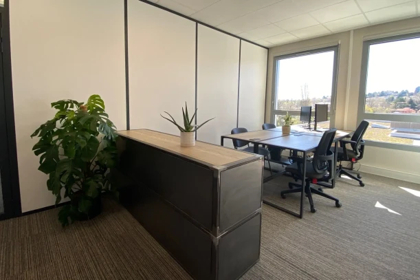 Bureau privé - 69570 - 12 postes - 2200€