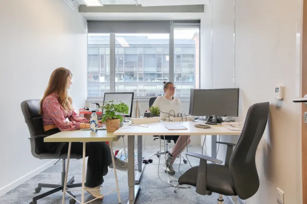 Bureau privé - 59000 - 3 postes - 1100€