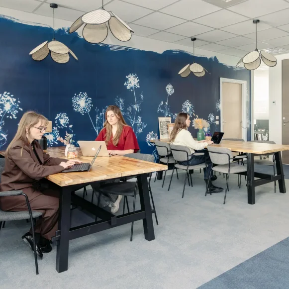 Open Space  5 postes Coworking Rue Pleyel Saint-Denis 93200 - photo 1