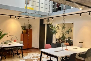 Open Space - 59800 - 14 postes - 250€