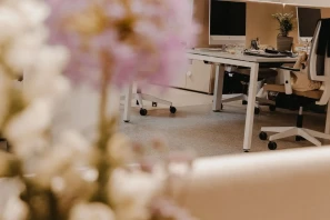 Open Space - 67100 - 2 postes - 250€