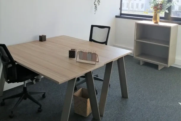 Bureau privé - 67300 - 2 postes - 1201€