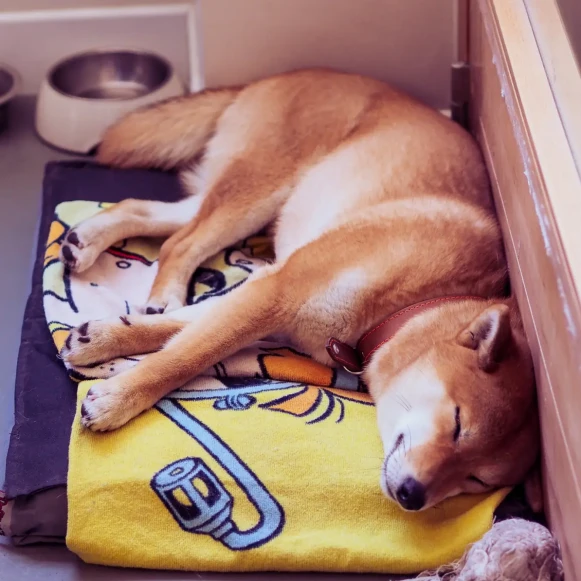 Bureau privé 55 m² 15 postes Coworking Rue Médéric Clichy 92110 - photo 7