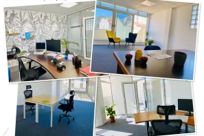 Open Space - 69410 - 1 poste - 300€