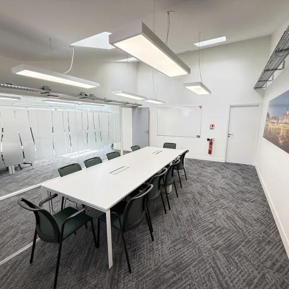 Bureau privé 222 m² 42 postes Location bureau Rue Charles de Rémusat Toulouse 31000 - photo 9