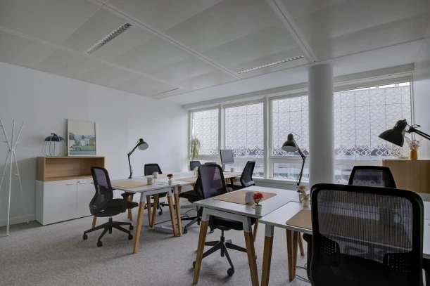 Bureau privé - 69003 - 15 postes - 6900€