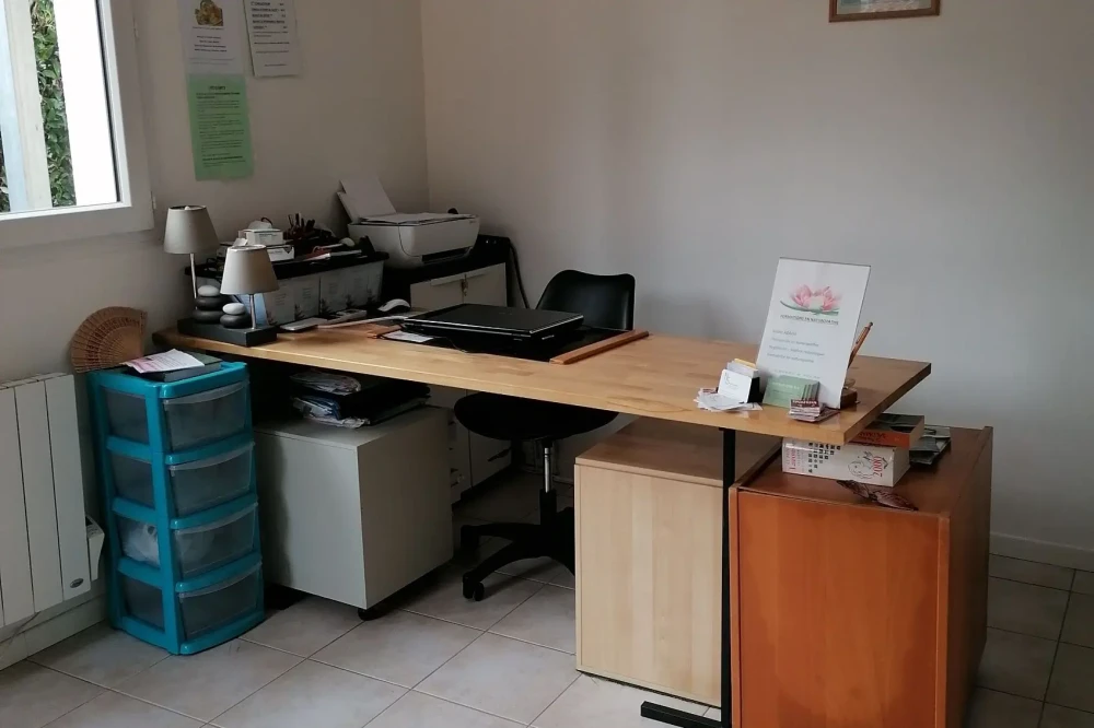 Bureau privé - 31600 - 1 poste - 250€