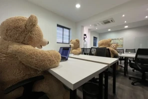 Bureau privé - 91070 - 16 postes - 3950€