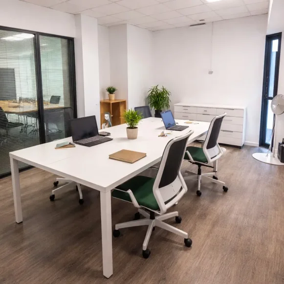 Bureau privé 20 m² 4 postes Coworking Rue des Arts et Métiers Grenoble 38000 - photo 3