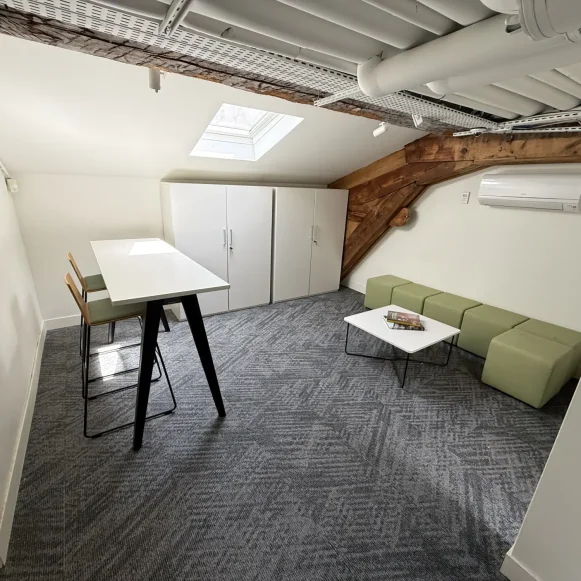 Bureau privé 222 m² 42 postes Location bureau Rue Charles de Rémusat Toulouse 31000 - photo 11