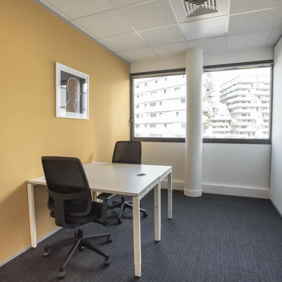 Bureau privé 25 m² 5 postes Coworking Rue Crepet Lyon 69007 - photo 8