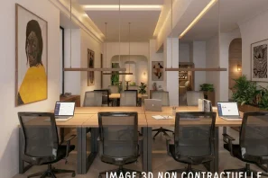 Bureau privé - 75002 - 126 postes - 81900€