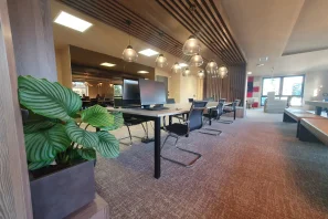 Bureau privé - 67205 - 1 poste - 550€