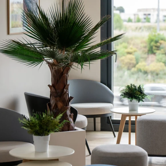 Bureau privé 13 m² 3 postes Location bureau Rue Maryam Mirzakhani Montpellier 34000 - photo 6