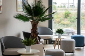 Flex-O Montpellier Cambacérès