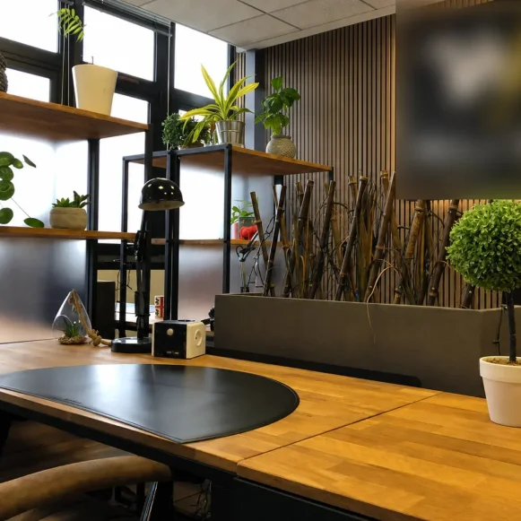 Bureau privé 12 m² 3 postes Coworking Avenue de Colmar Strasbourg 67100 - photo 1