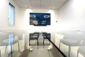 Open Space - 92100 - 8 postes - 260€