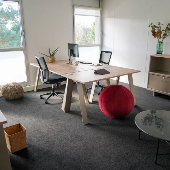 Bureau privé 24 m² 5 postes Coworking Rue Jacques Daguerre Nantes 44300 - photo 1