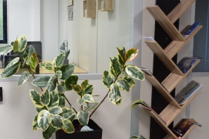 Bureau privé - 78310 - 4 postes - 750€